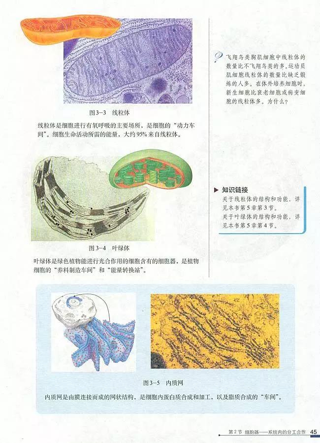 人教版高中生物（必修1）电子课本（高清版）