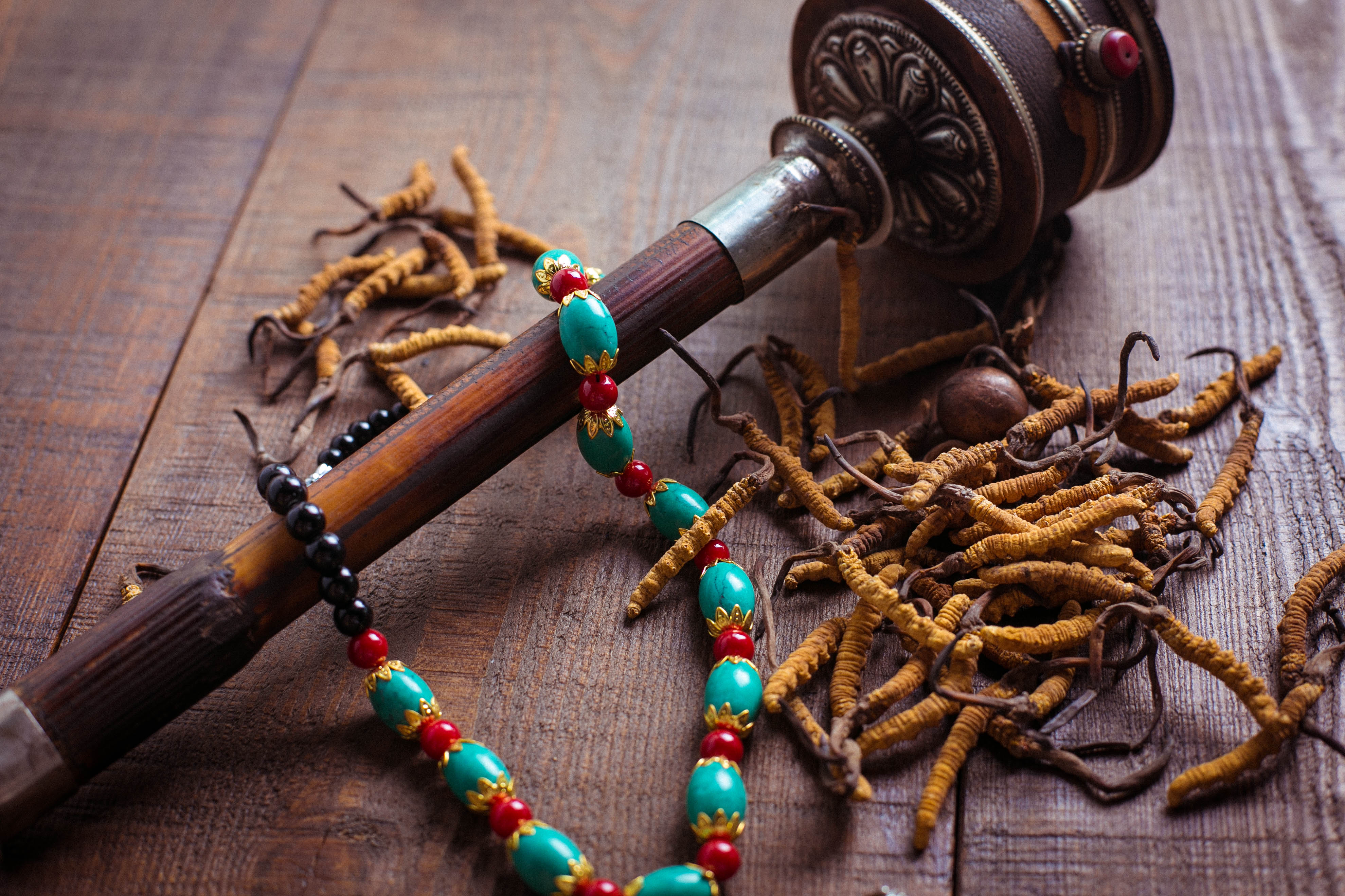 冬虫夏草不便宜，买回家要“正确保存”，价值高成分不受影响