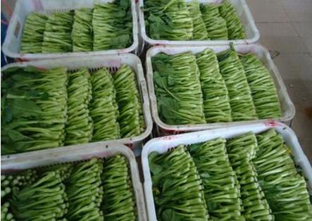 带你看看孩子的学校食堂，没有那么神秘