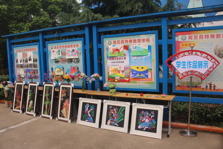 周至县特殊教育学校2020年秋季招生工作方案