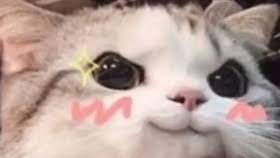 大学生活的总结（大一入学后的第一个月）