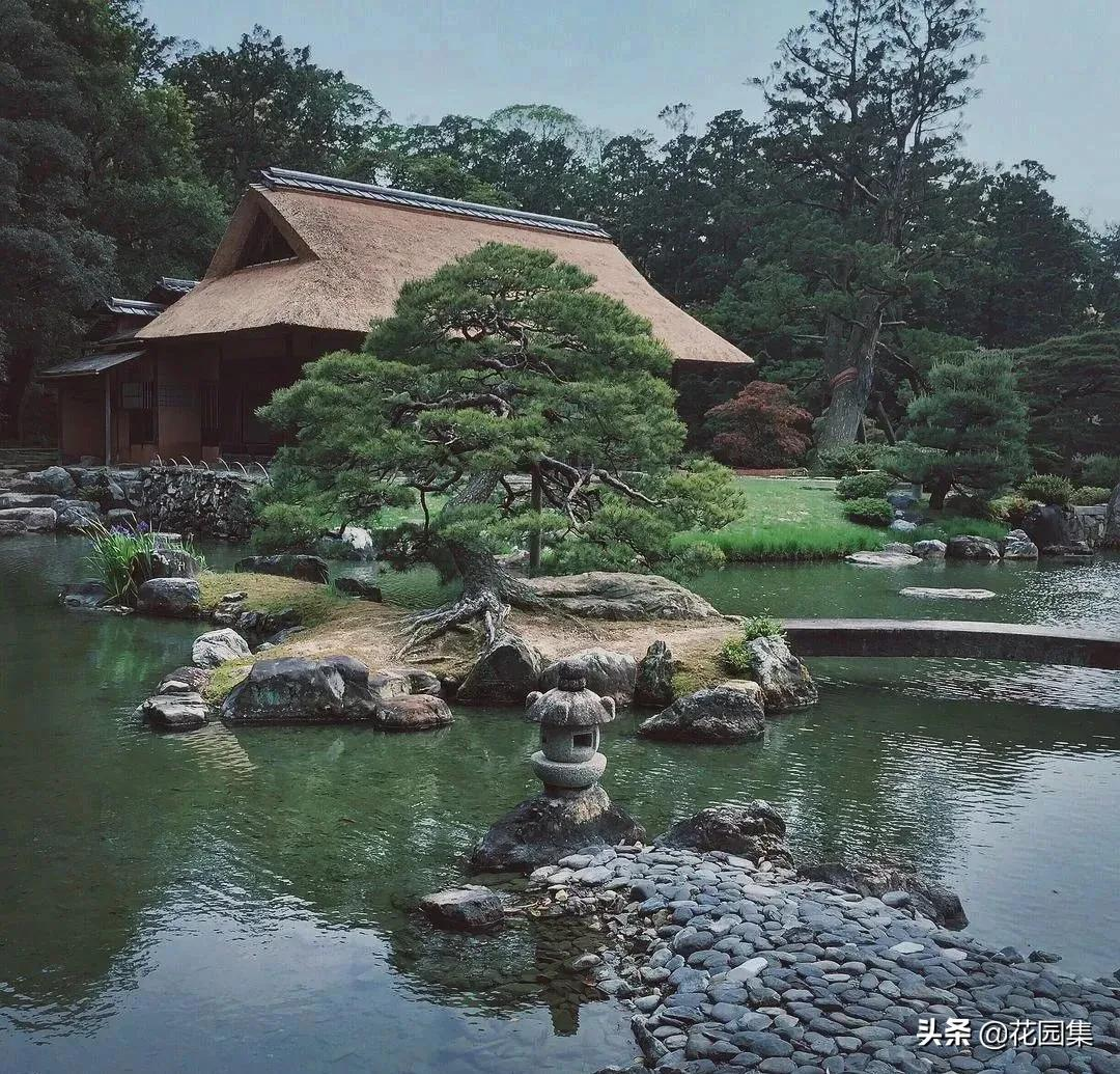 日式庭院该配什么植物?怎么配?看这里