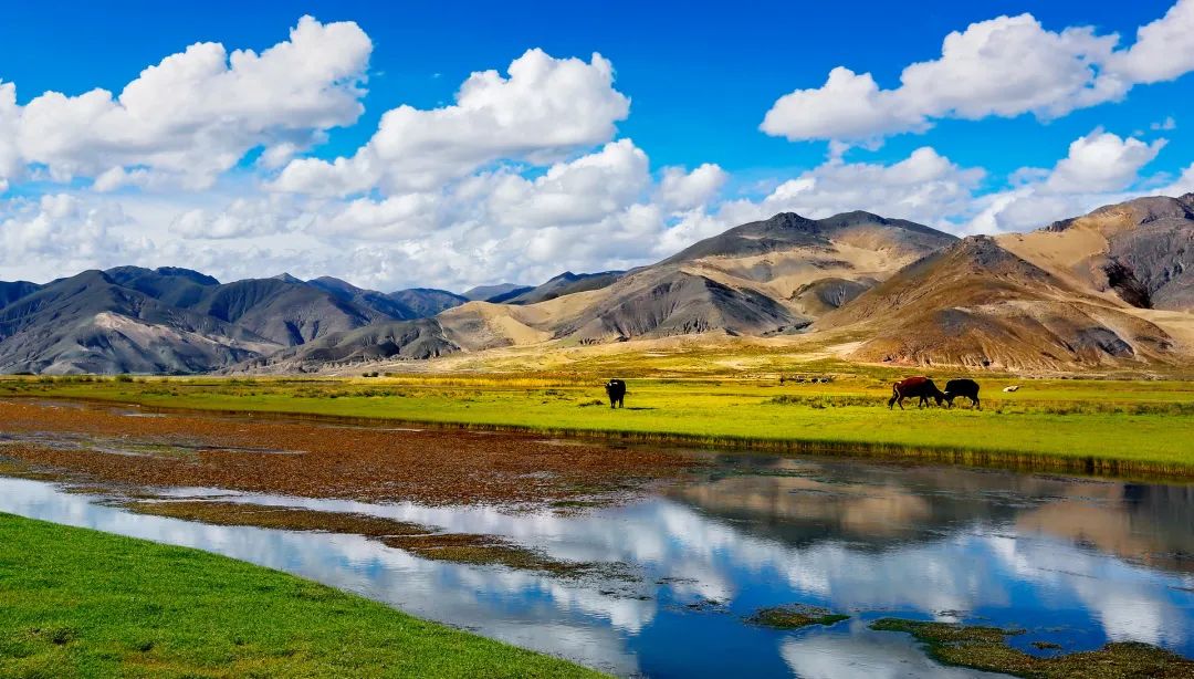 最美不过西藏，这10座藏地的秘境小城，此生绝对不能错过