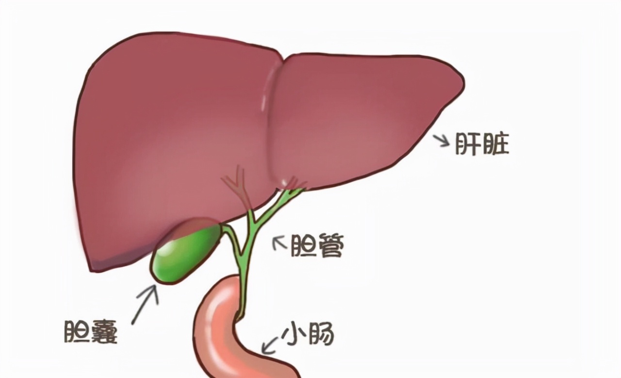 生花生和熟花生，哪個營養更高？ 注意：這5類人最好少吃，要聽勸