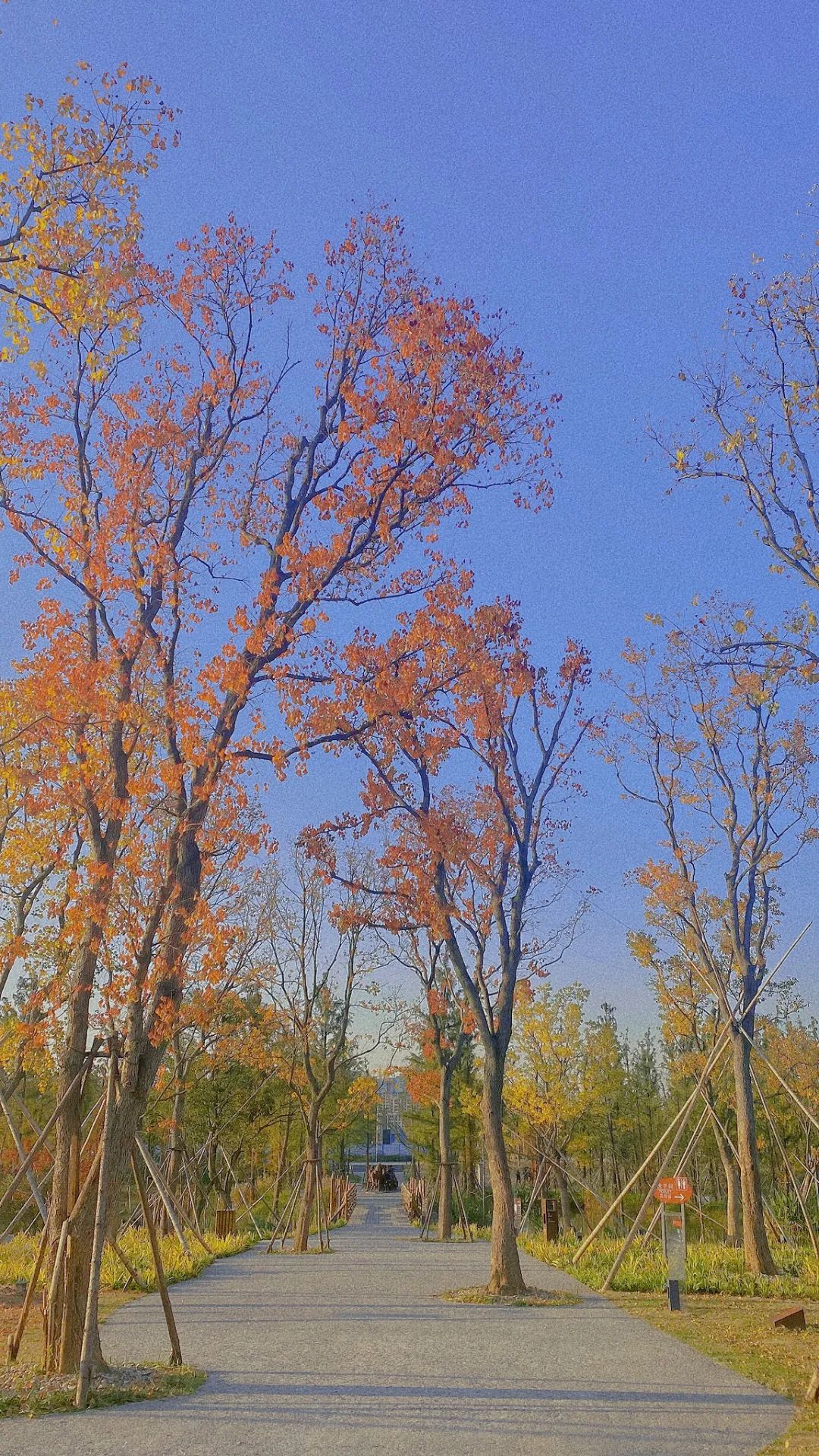 怀德学院“心怀正气 尚德倡廉”文化作品展