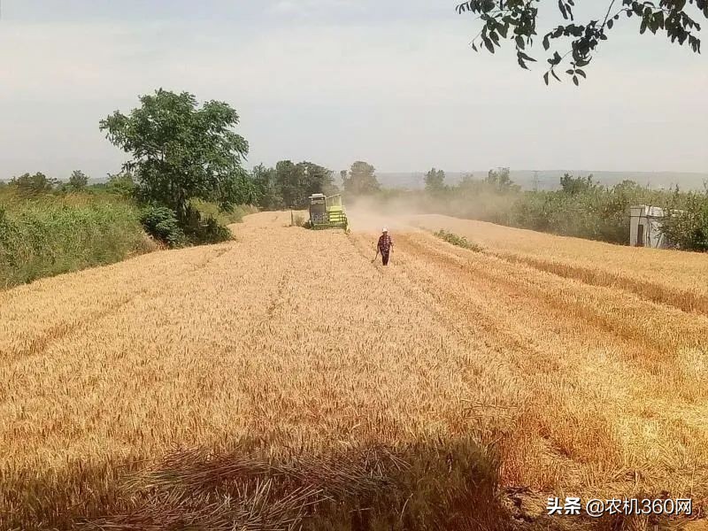 寫給小麥機(jī)用戶：購機(jī)時使用5大策略增加收益保障