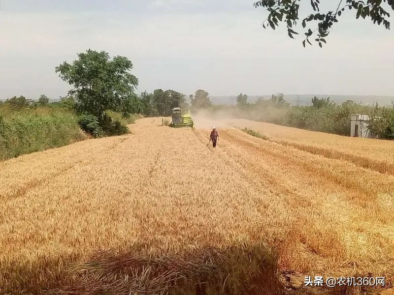 写给小麦机用户：购机时使用5大策略增加收益保障