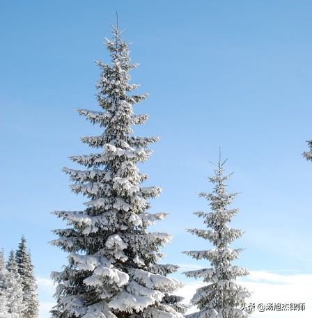 实习律师实习日志第八篇（连载30篇）