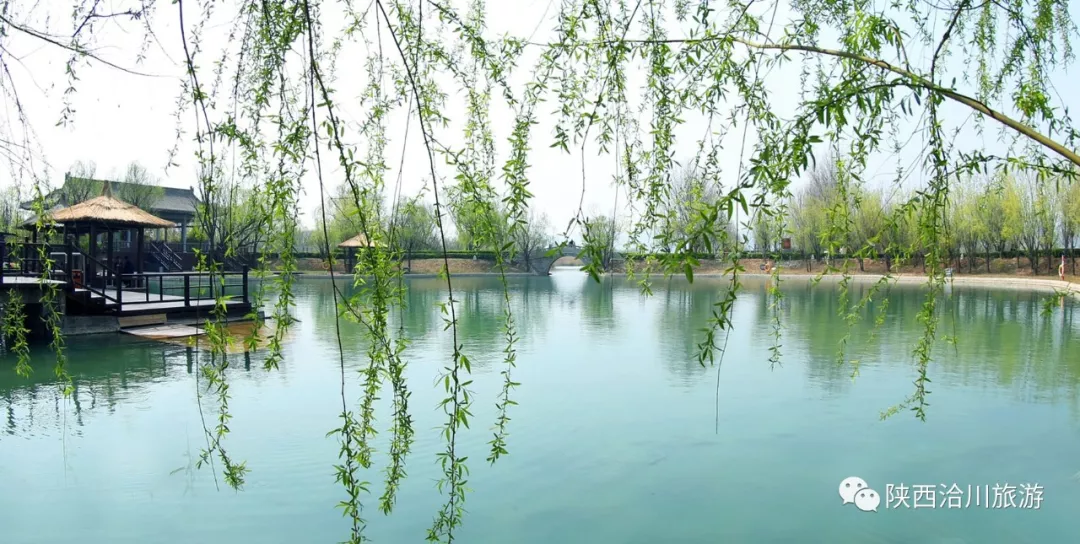 黃河岸邊的明珠—洽川瀵泉