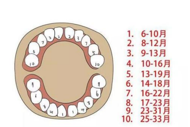 寶寶長牙的徵兆,時間,順序,後期的牙齒護理,你都知道嗎?