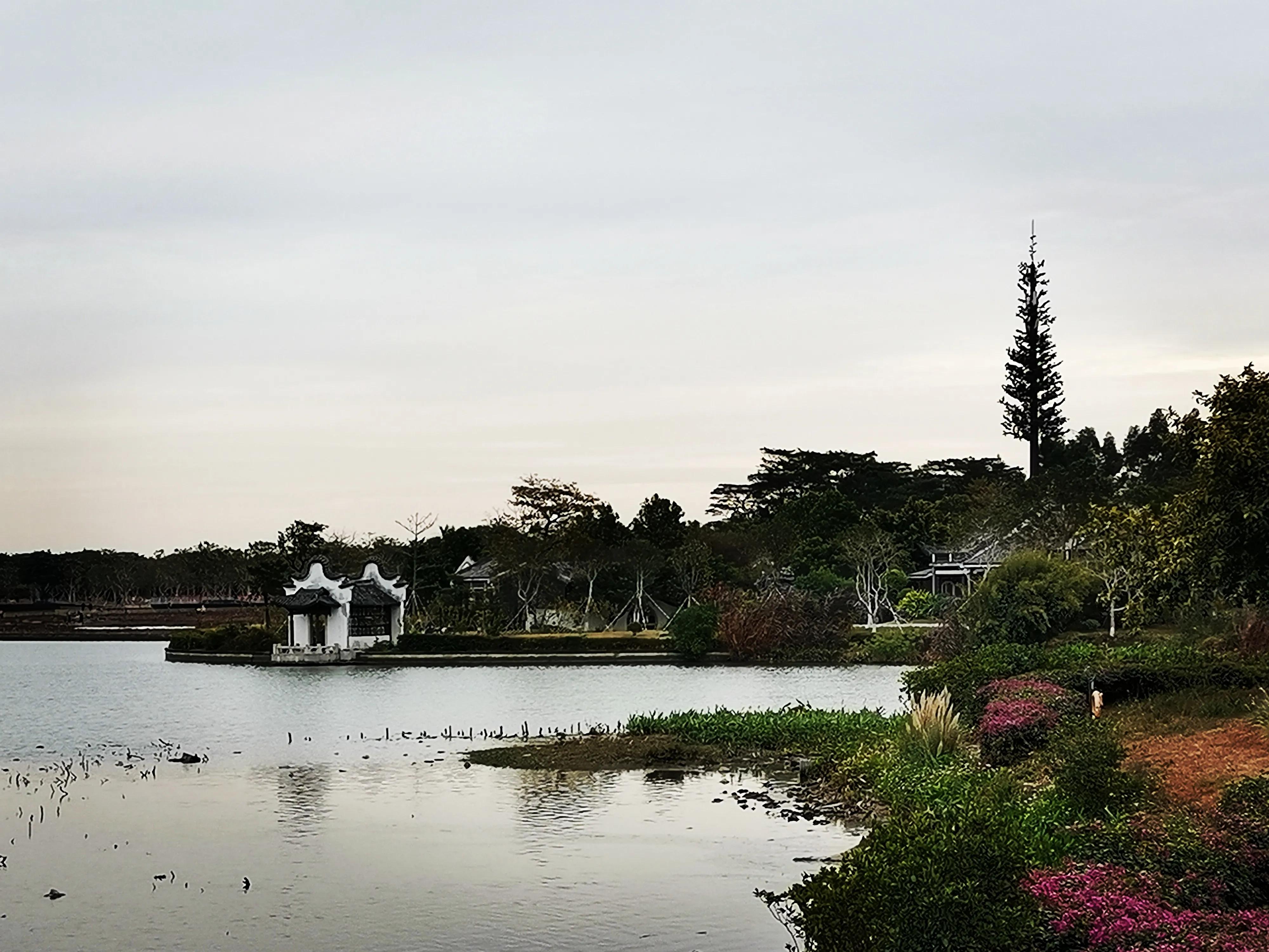 美丽的海珠湖公园