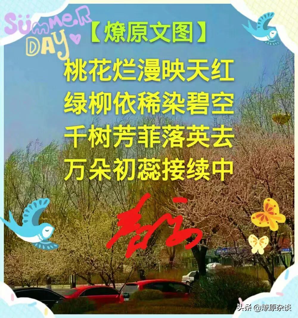 顺口溜丨桃花烂漫映天红，绿柳依稀染碧空
