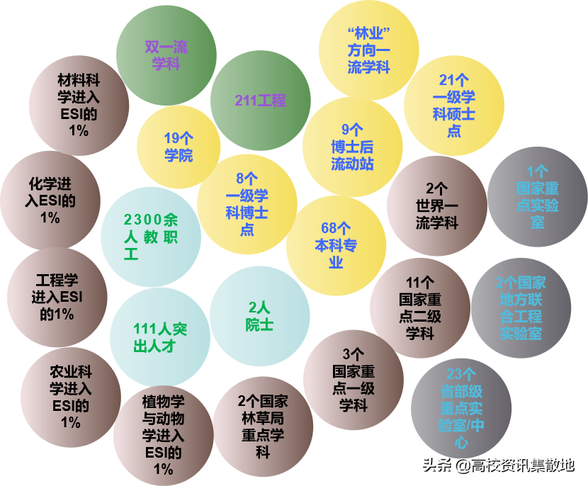 王牌专业就业率竟然最低！探寻东北林业高校的翘楚