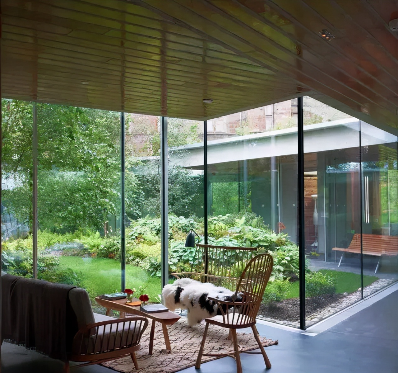 关于城市小院的说说城市中的小院说说