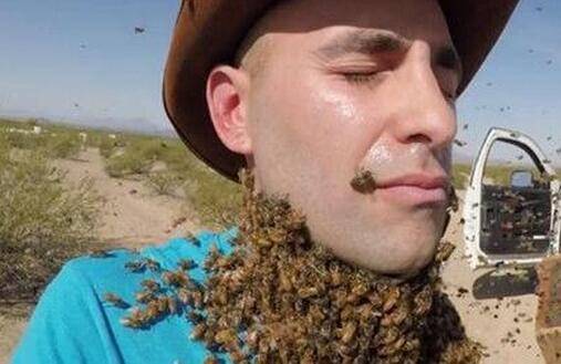 马蜂找不到"家"后出现的攻击行为是什么可怕的,当然也不排除这家住户