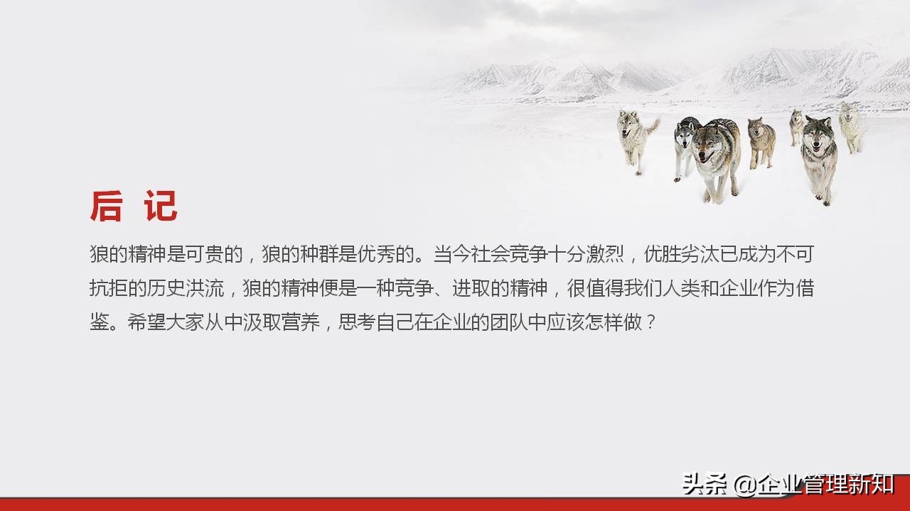 33页完整版，狼性文化与企业精神培训PPT，可直接用于员工培训