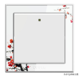 十大电门插座品牌：西门子、牯牛、欧普...电门插座品牌哪个好？