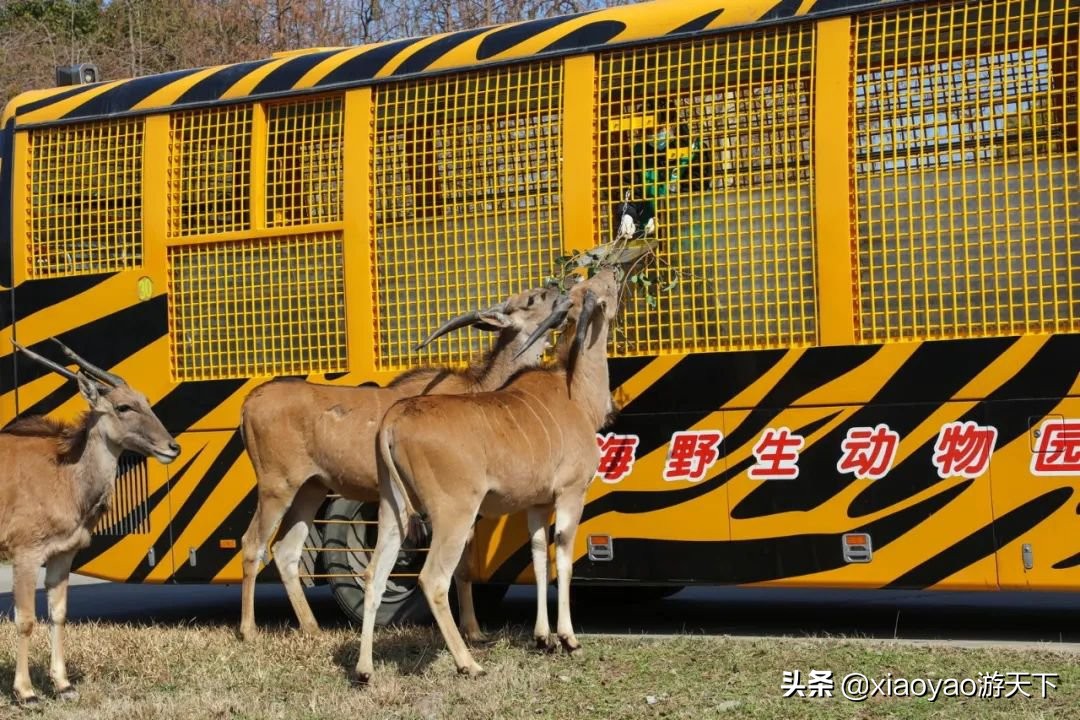 全国5A级旅游景区最新门票价格（上海、天津篇）