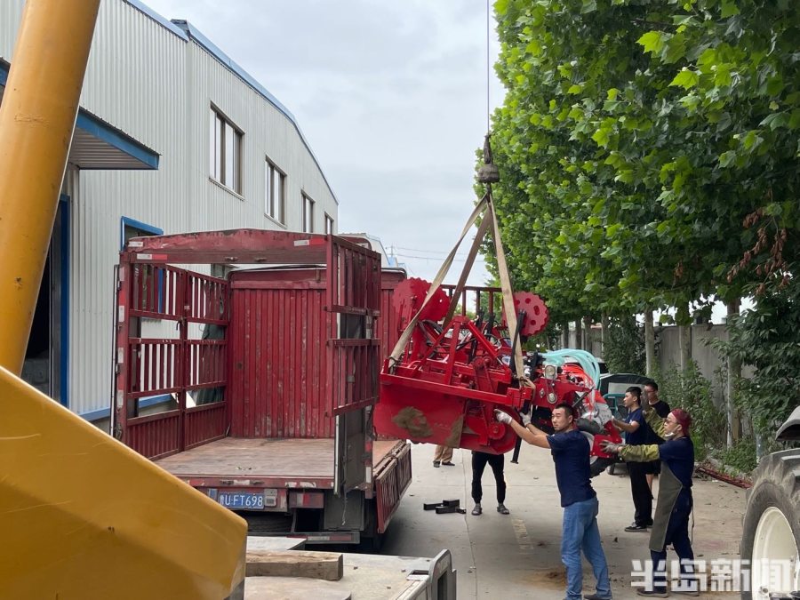 蹲点调查丨包衣成“丸”，编织成“带”！青岛田间“种业芯片”升级帮咱增收赚外快