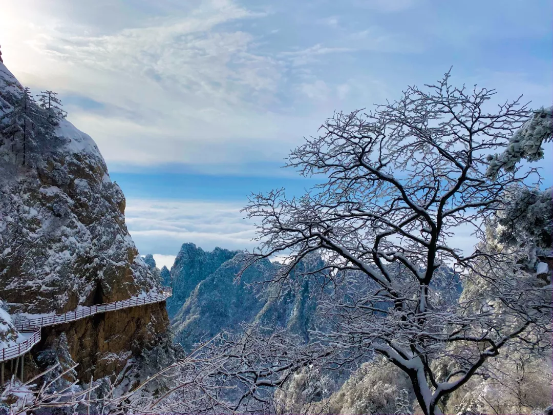 老君山冬季恋歌，不负初冬的旅行