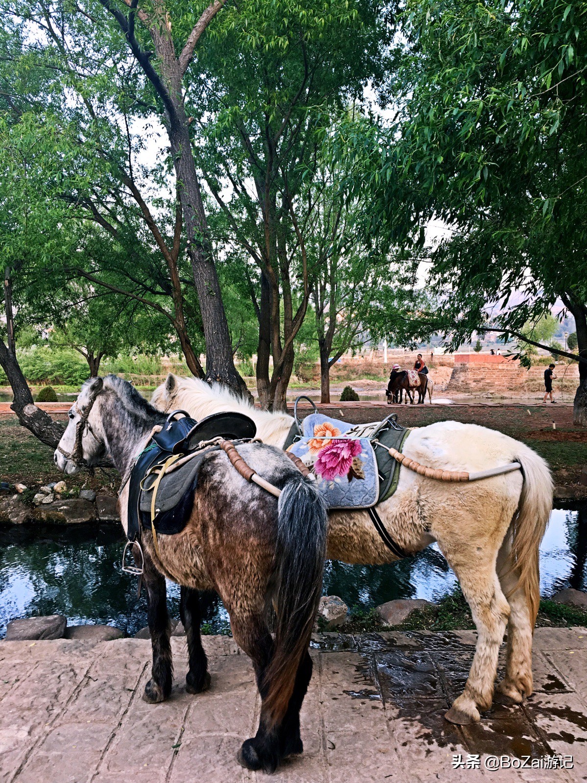 到云南旅游必去的10大古镇，个个都是旅行胜地，你去过几个景点？