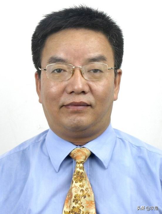 南京农业大学校训（王锋）