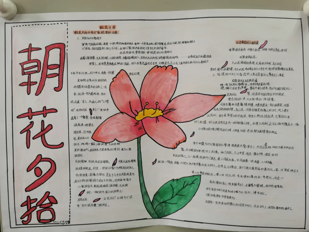 【校园动态】拾花绘梦——金中学子手抄报作品集《朝花夕拾》