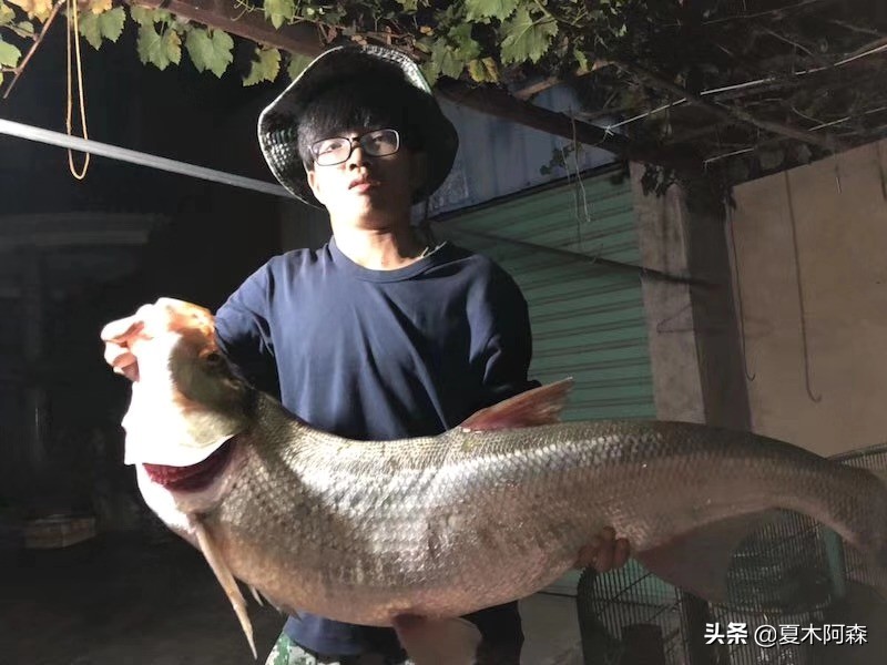 米级翘嘴鱼多少钱一斤路亚米级翘嘴不是梦