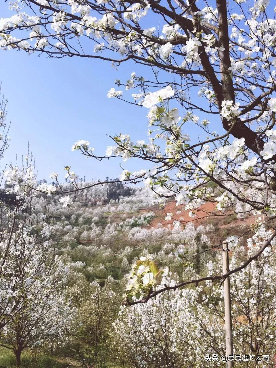 云南个旧，张子枫电影里的宝藏小城，藏着小镇青年的回忆和美食