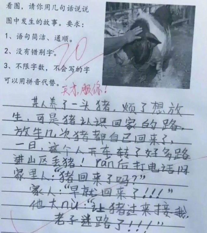 小学生作文低调走红，描述妈妈生动形象，老师：回家让你妈签字