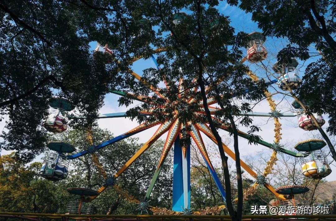 6块钱,包船游西湖