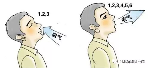 您的肺还好么?查个肺功能一看便知