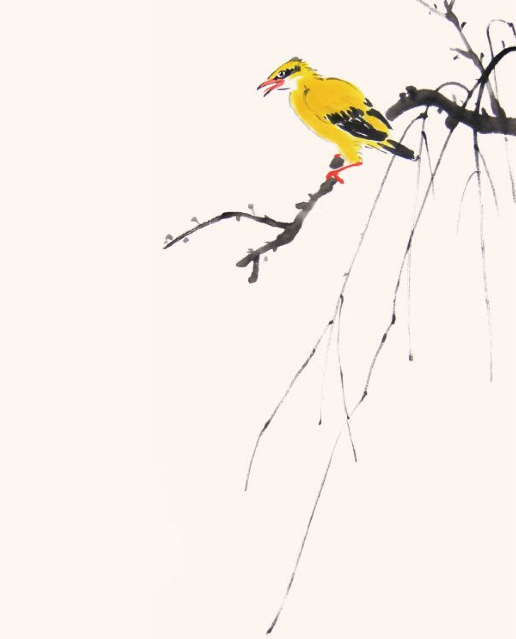 禽鸟技法写意黄鹂的画法步骤