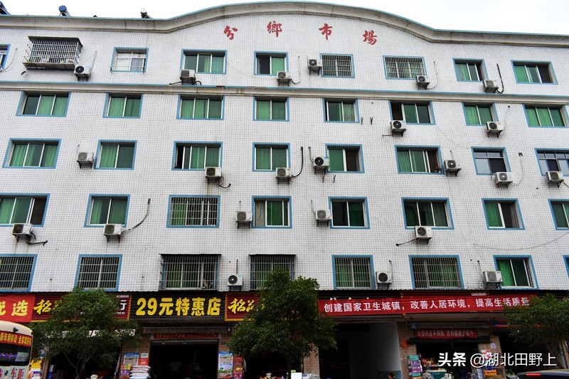 田野上團(tuán)隊(duì)下鄉(xiāng)小記丨走進(jìn)分鄉(xiāng)鎮(zhèn)“窗口”——分鄉(xiāng)場社區(qū)
