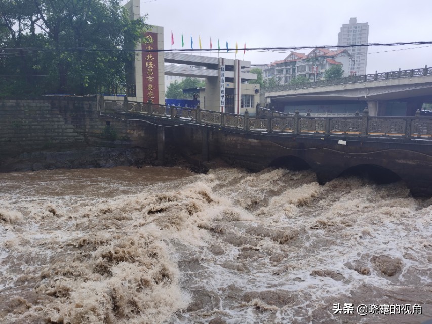 在隆昌，我幸运地遇见鹅洞飞雪