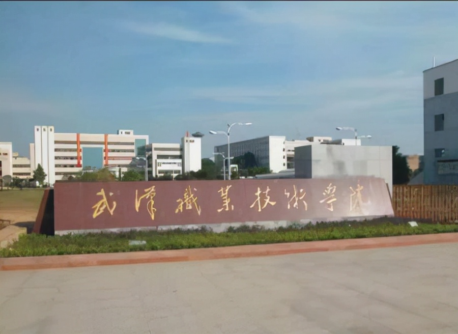 武汉职业学院（武汉职业技术学院）