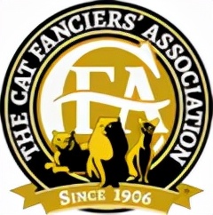 被CFA认证除名的中国狸花猫，到底有多优秀