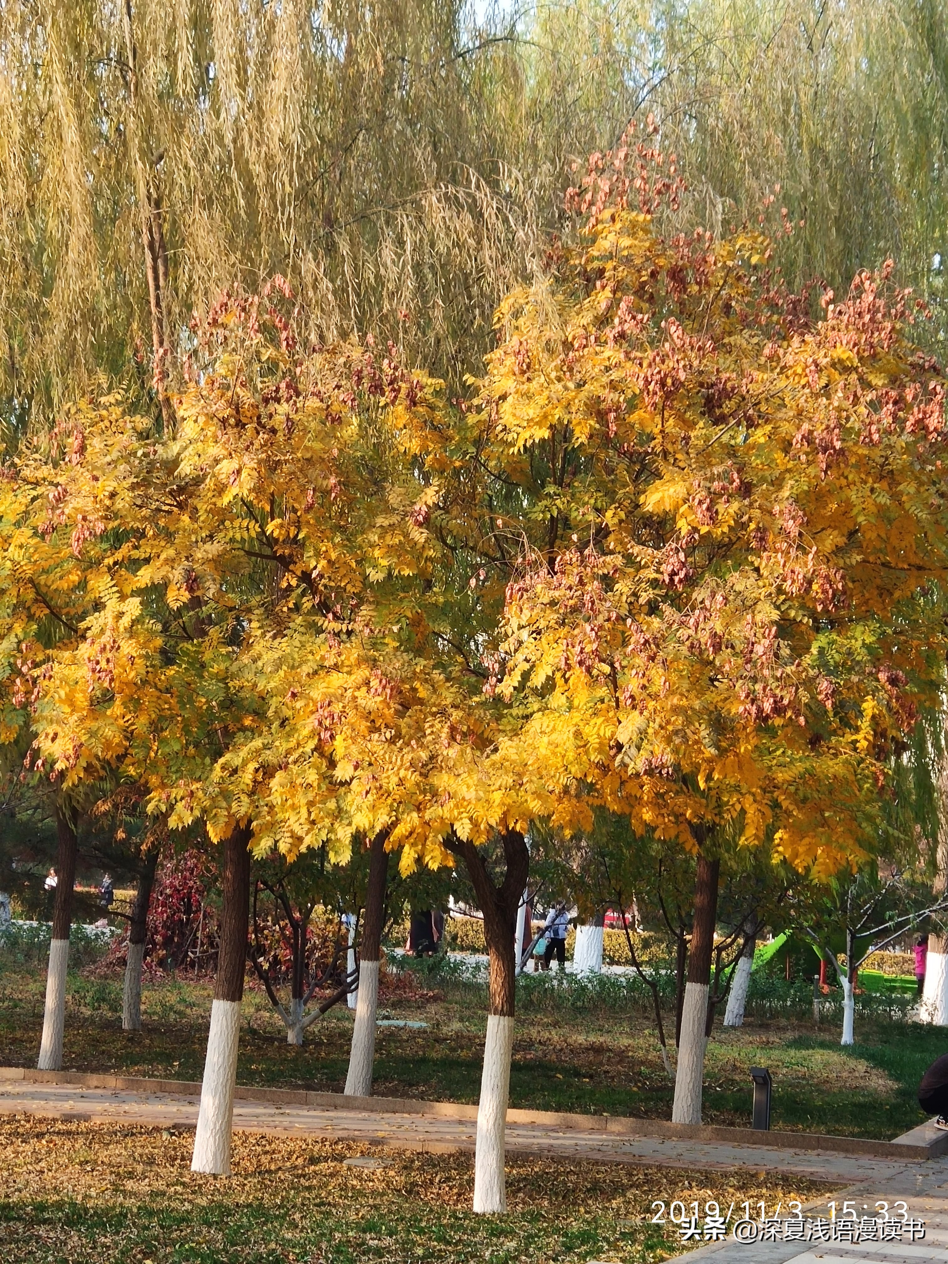 高中记6：开学一个月消费记录，花钱如流水的高中生活