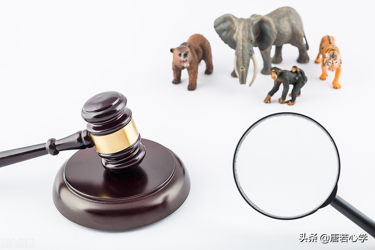如何提升情商：学会拒绝别人是一门技术活，四种方法教你勇敢说不