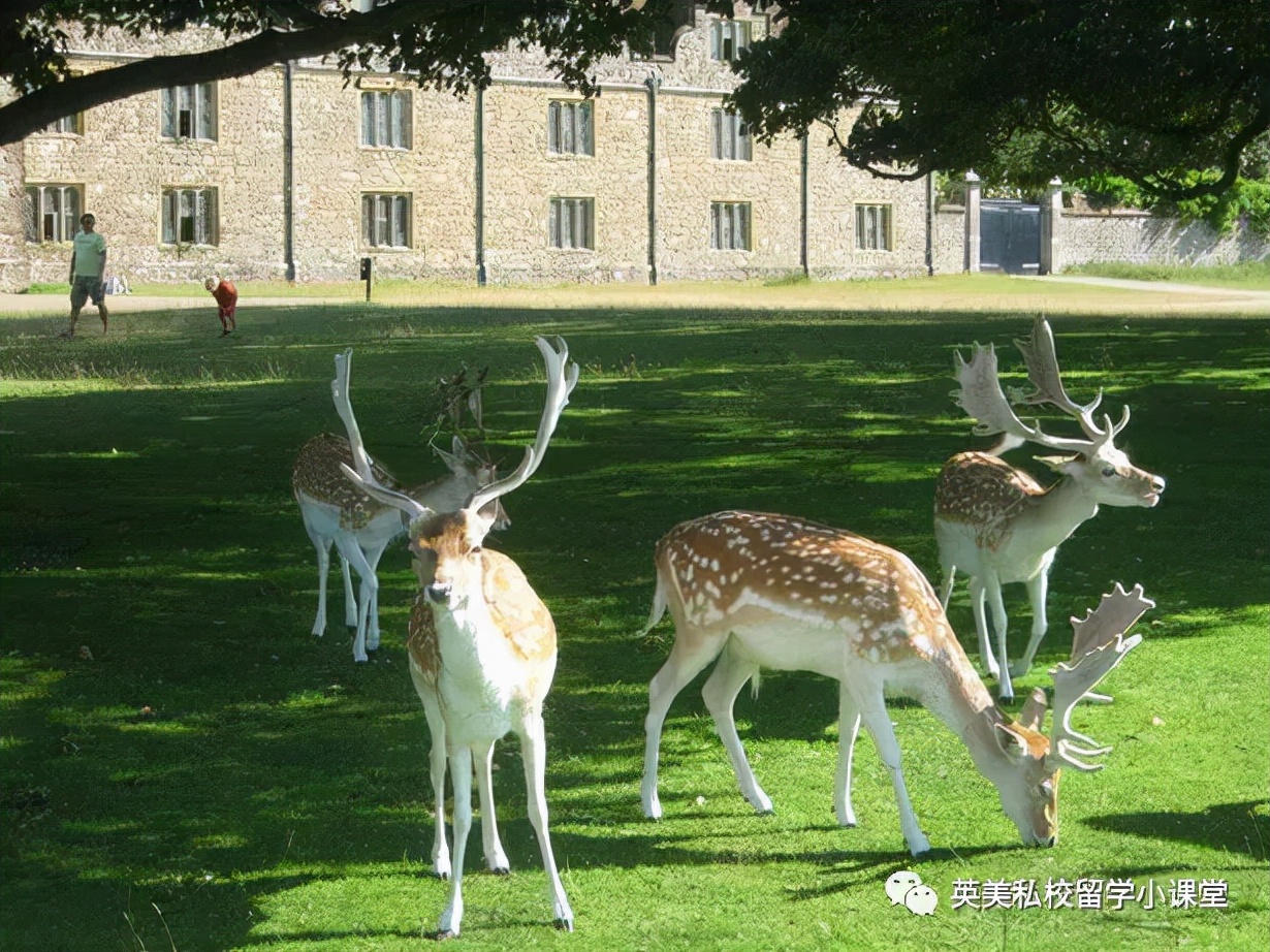 大作家查尔斯·狄更斯的心头爱！聚集5所英国顶尖私校！不能错过