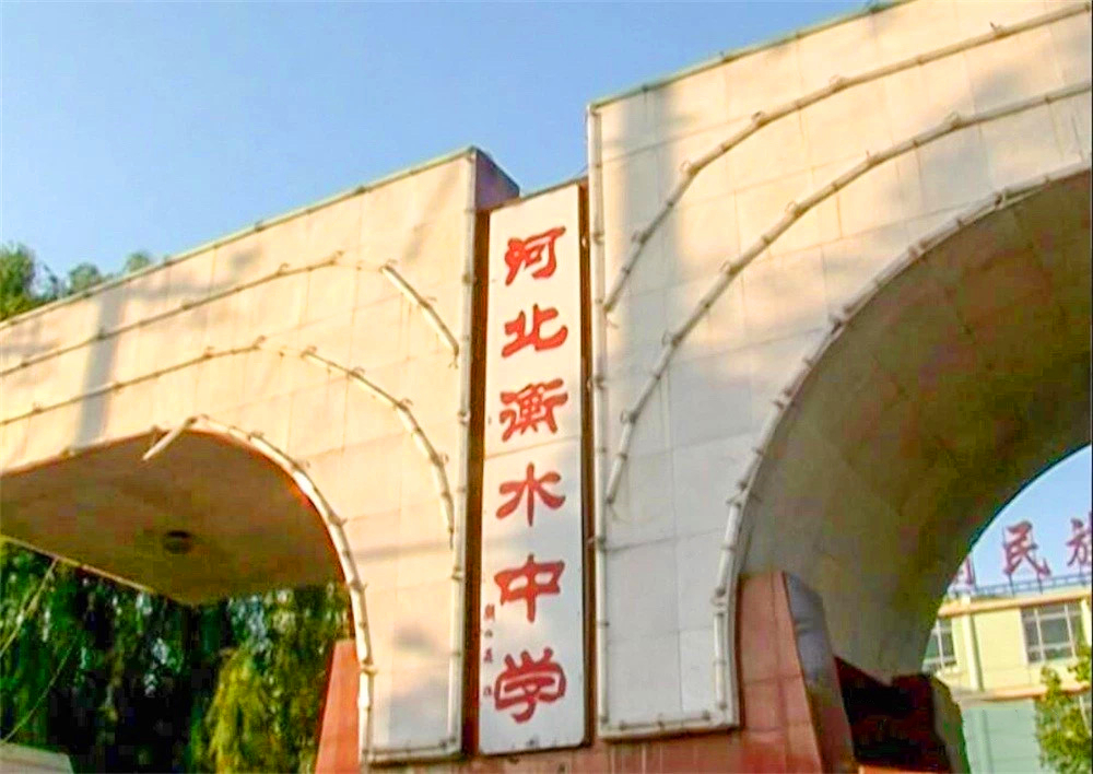 高考文科状元（衡水中学文科状元刘嘉森）