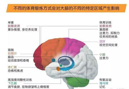 想要变得更聪明？7个小习惯，激活你的大脑潜能，让你能持续聪明