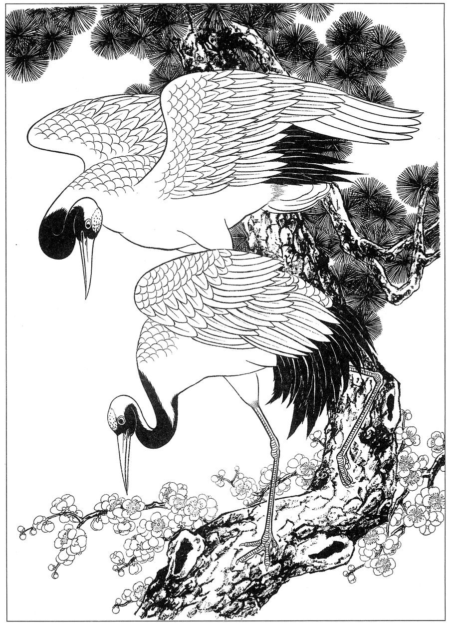仙鹤高清白描线稿图片下载19幅