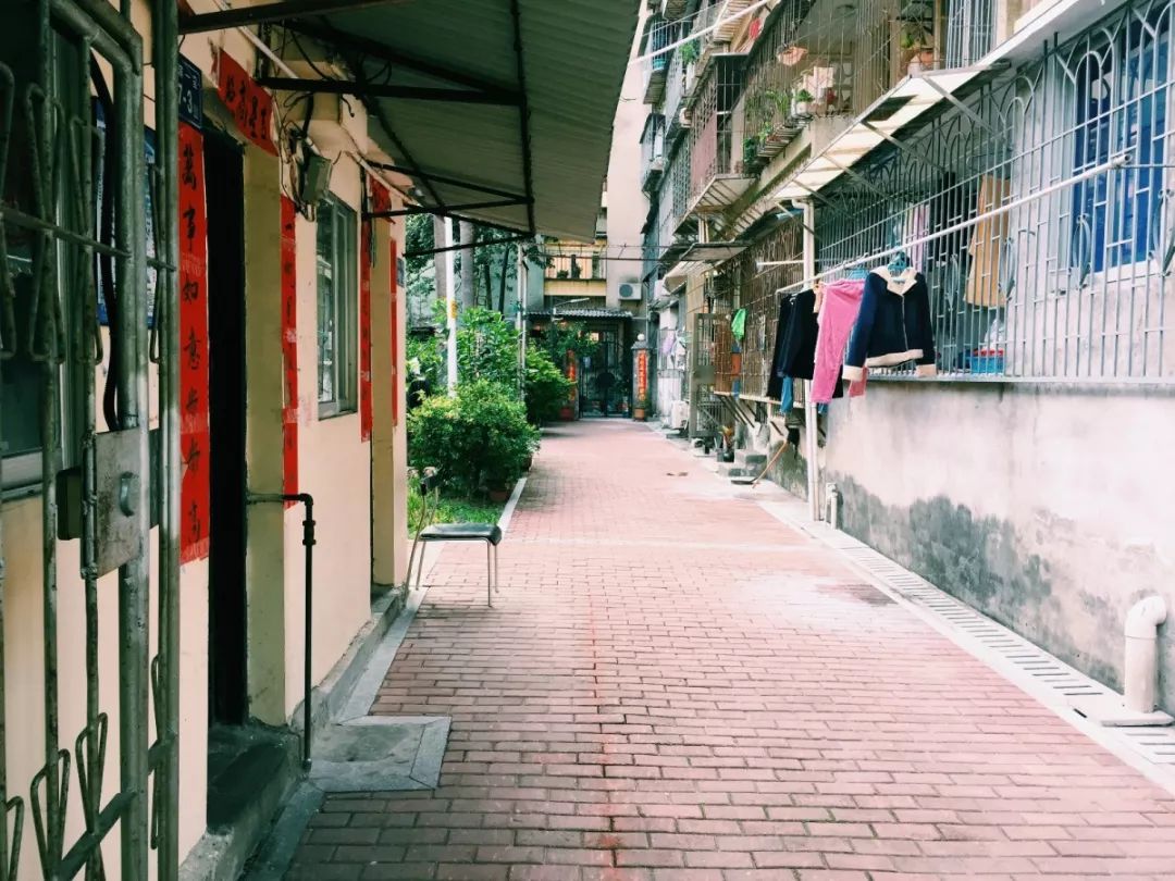 老破小一平10万+！我们走遍厦门18所名校，为你曝光最贵学区房！