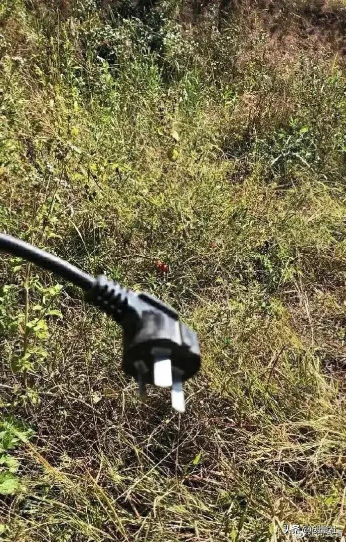 岳云鹏高考祝福翻车，考生：去你的吧哈哈哈哈哈