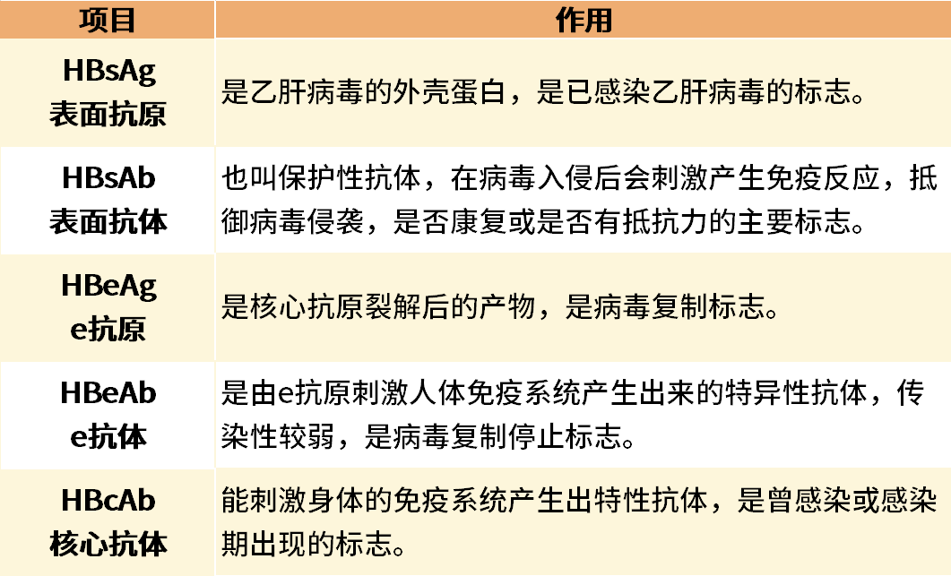 如何读懂乙肝两对半检验报告？只需掌握这几点