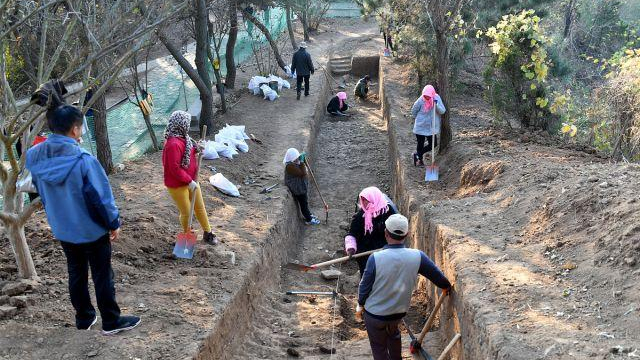 这几个专业有一点冷门，但就业却比较不错，适合中等成绩考生报考