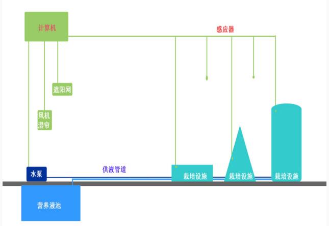 如何教大家用無土栽培（霧培）種植蔬菜，有效避免重茬、病蟲危害