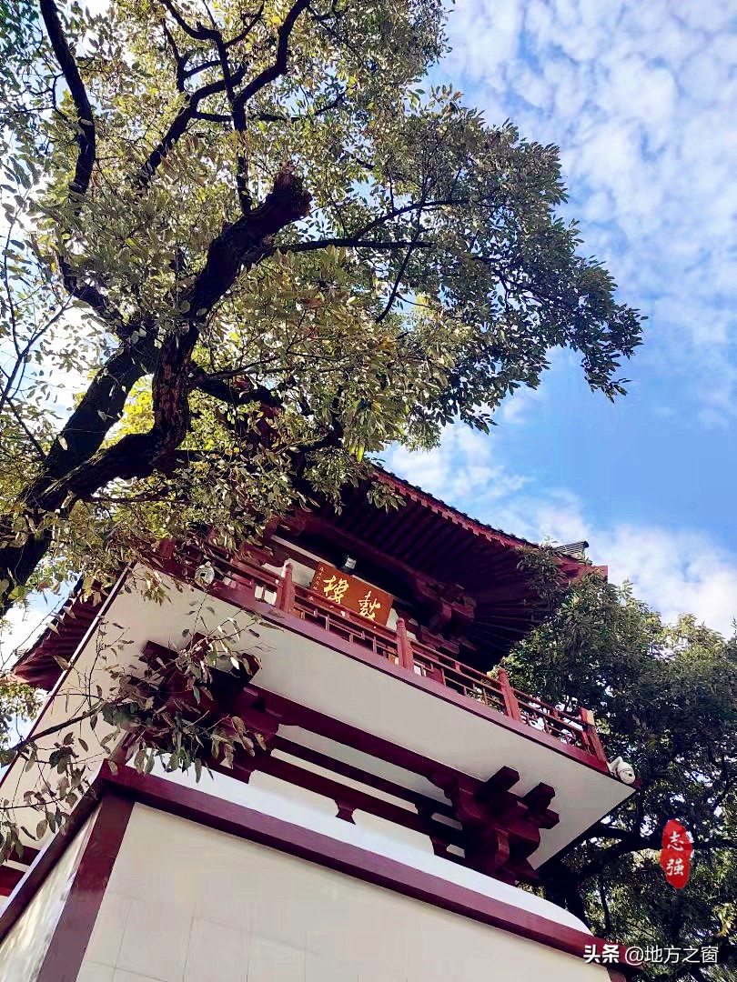 合肥有什么好玩的地方景点推荐（请记住这3个景点）