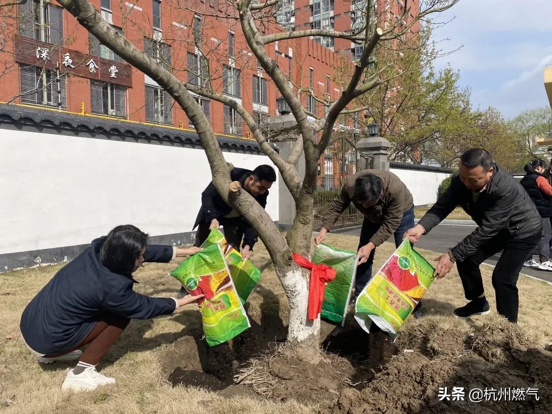 草木之心，乃是人心|春光无限好 履“植”正当时… ​